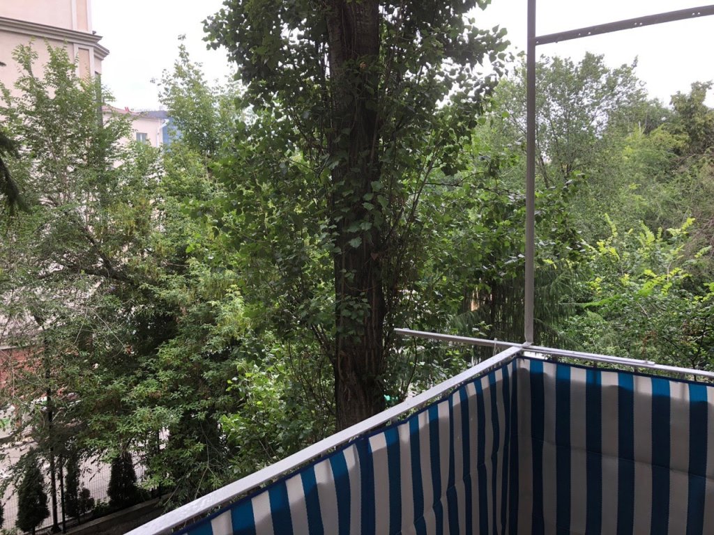 Воронеж: Квартира Cozy in city center