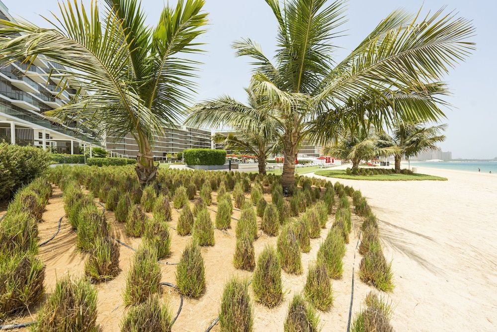 Дубай: Spacious beachfront 2 bedroom apartment