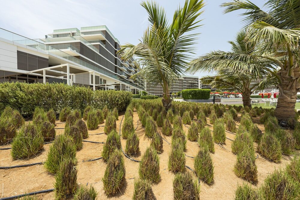 Дубай: Spacious beachfront 2 bedroom apartment