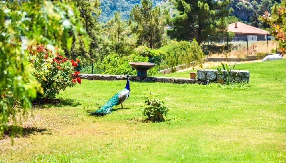 Орен: Greenery Home With Shared Pool in Marmaris