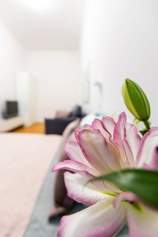 Санкт-Петербург: Квартира FlаtStay 6 Советская 18