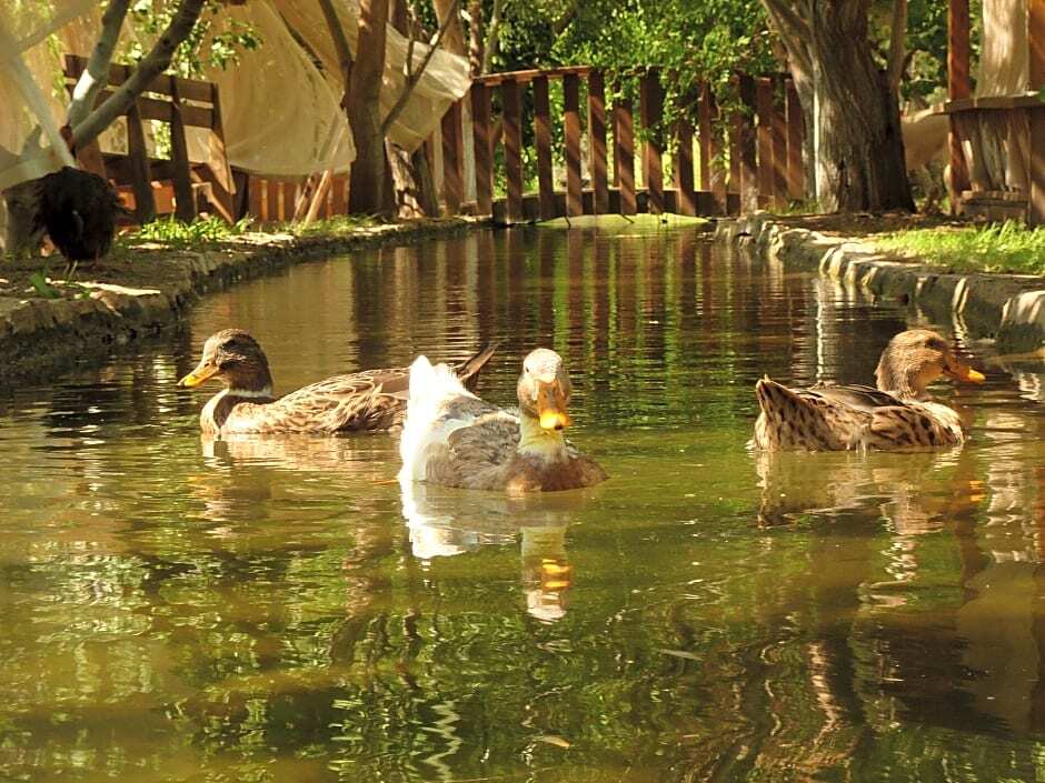 Кумлуджа: Olympos Mitos Hotel