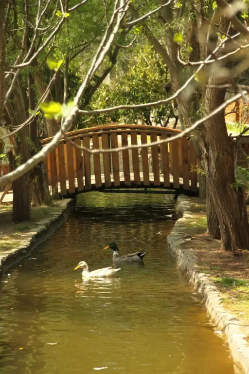 Кумлуджа: Olympos Mitos Hotel