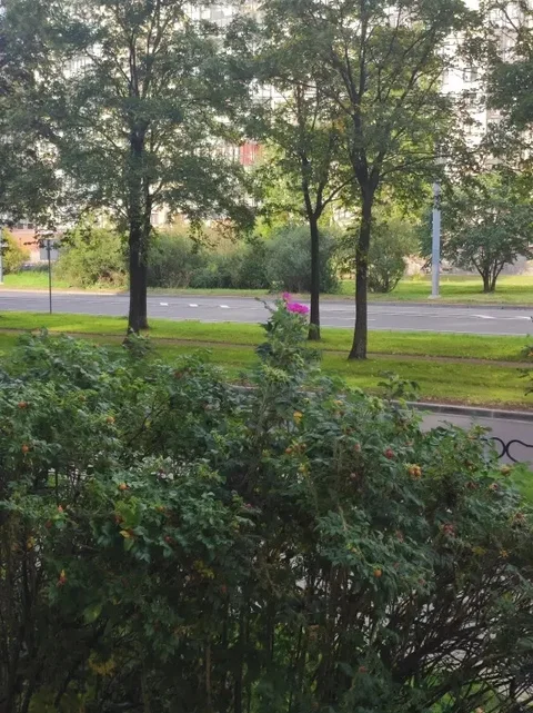 Санкт-Петербург: Квартира Apart-group Esthet