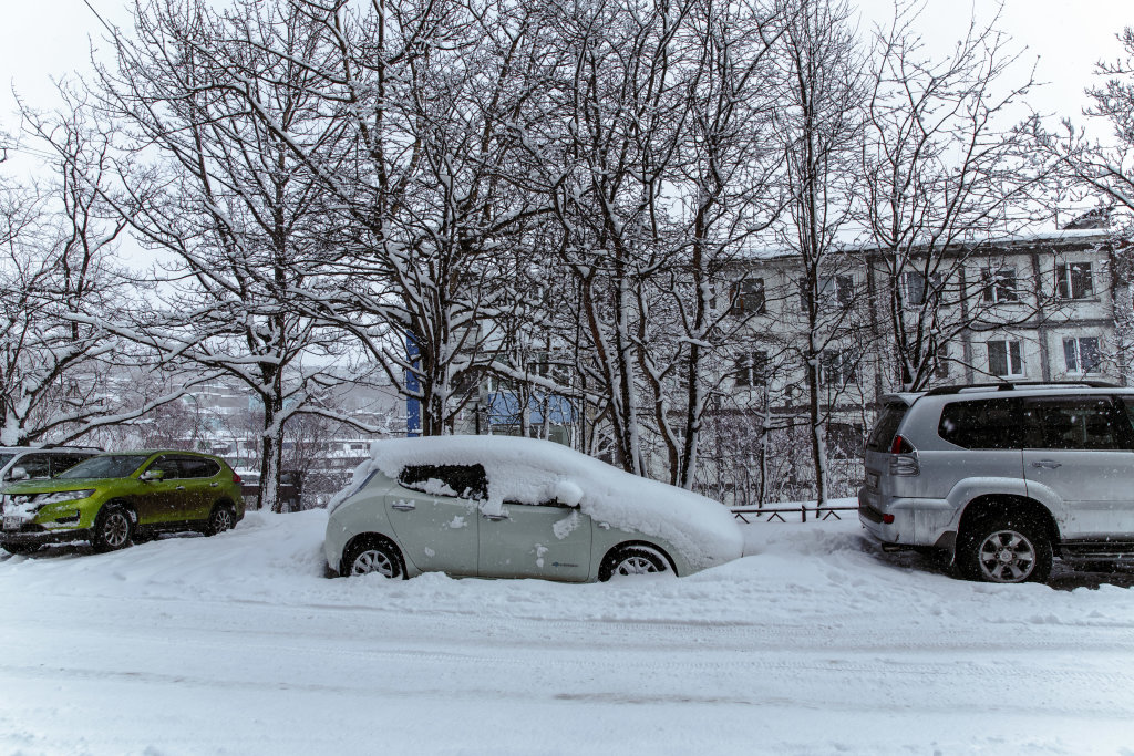 Петропавловск-Камчатский: Квартира Элиттель Бриз