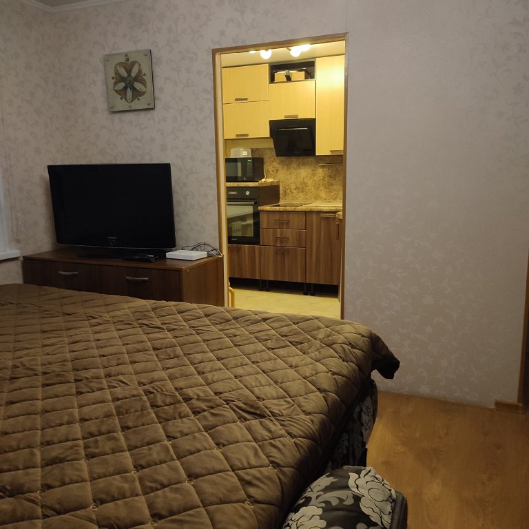 Петропавловск-Камчатский: Квартира Уютная с видом на вулканы