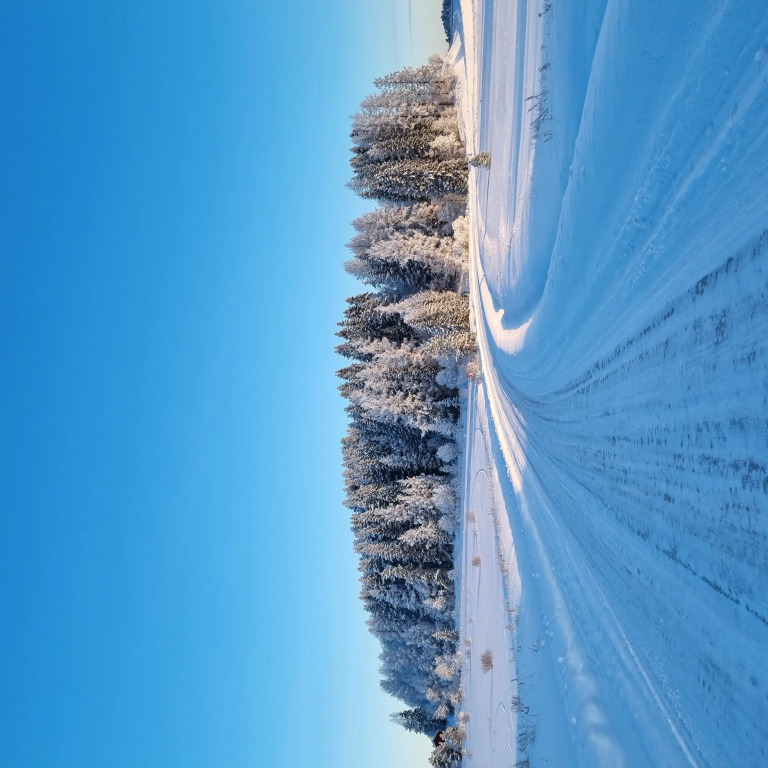 Куркиёки: Гостевой дом Talotonttu