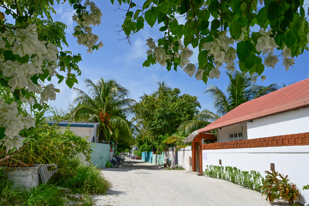Тулусду: Гостевой дом Thulusdhoo Inn