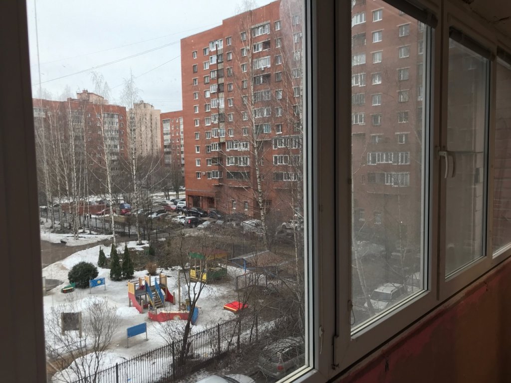 Санкт-Петербург: Квартира Уютная на Севере Петербурга