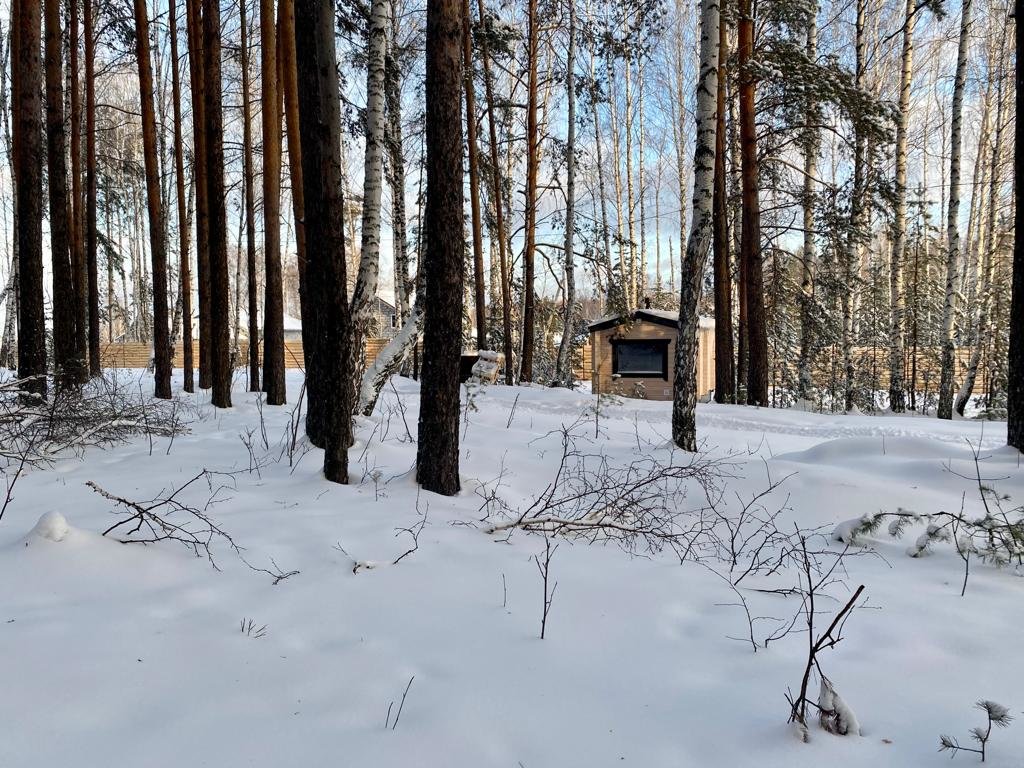 Верхняя Пышма: Глэмпинг Эко Парк Dreamhouse Village