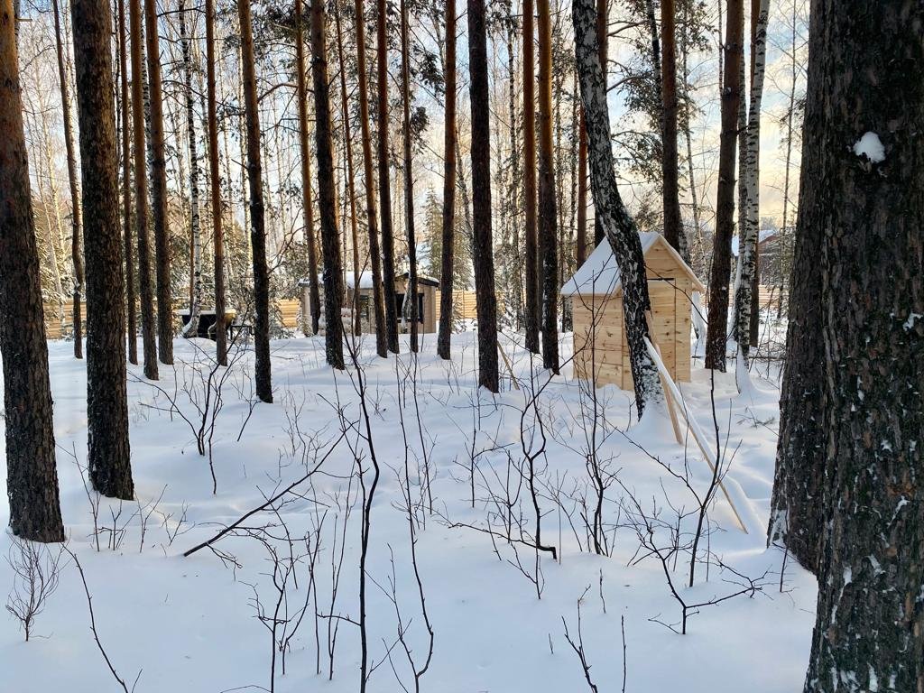 Верхняя Пышма: Глэмпинг Эко Парк Dreamhouse Village