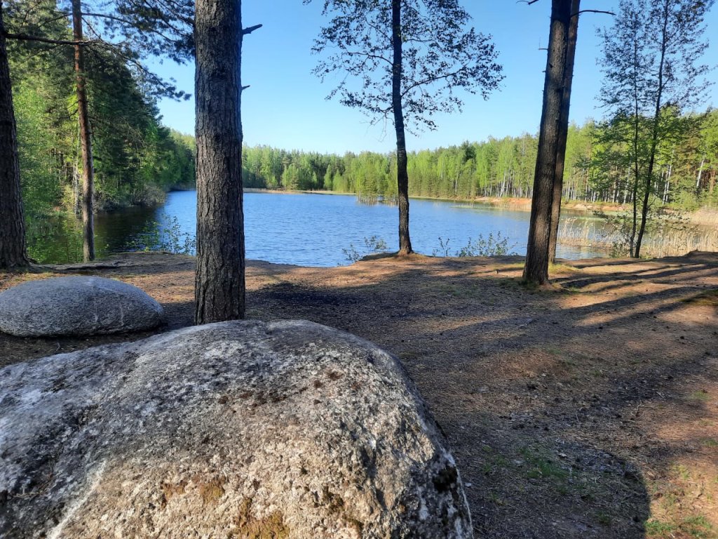 База Отдыха Загородный Клуб Лесная Усадьба — фото 2