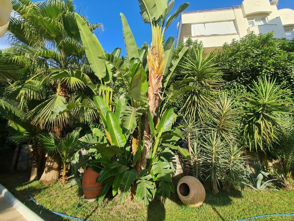 Кемер: Kemer Classic Apartments