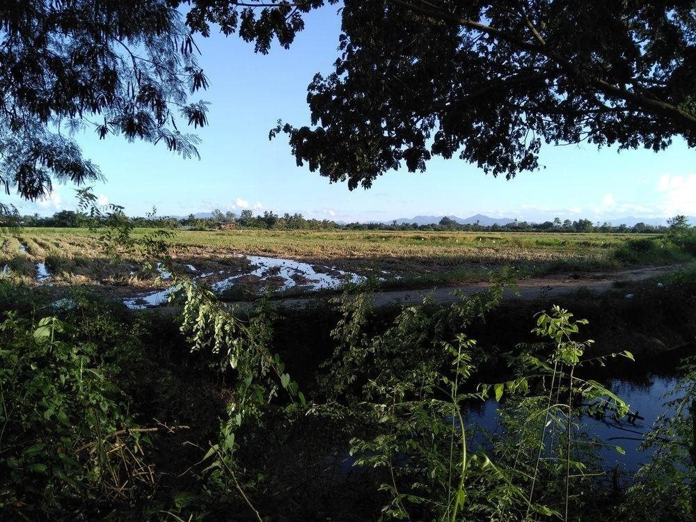 Дой-Ло: Baan Suan Rabieng Tung @ Doi Lo