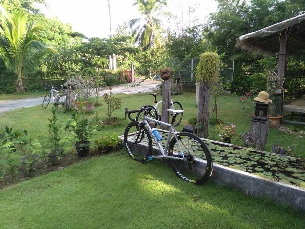 Дой-Ло: Baan Suan Rabieng Tung @ Doi Lo