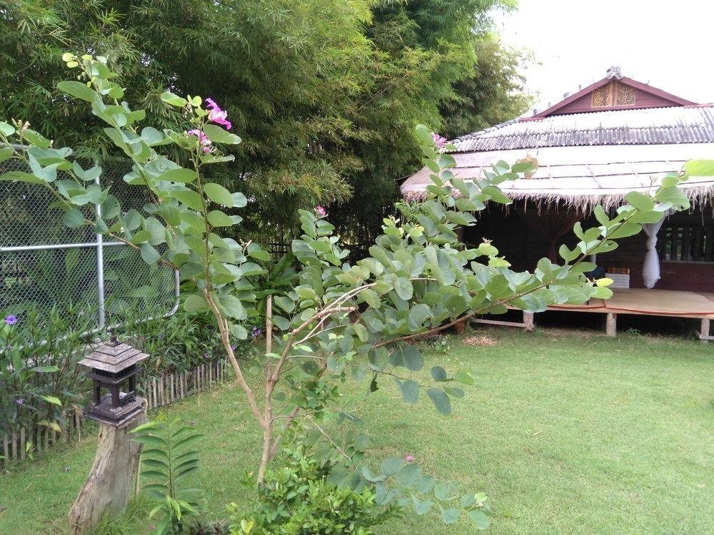 Дой-Ло: Baan Suan Rabieng Tung @ Doi Lo