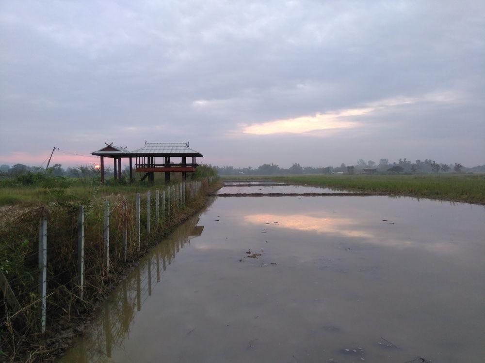 Дой-Ло: Baan Suan Rabieng Tung @ Doi Lo