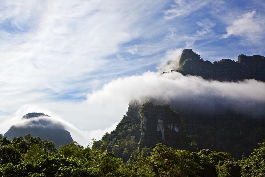 Фаном: Coco Khao Sok Hostel