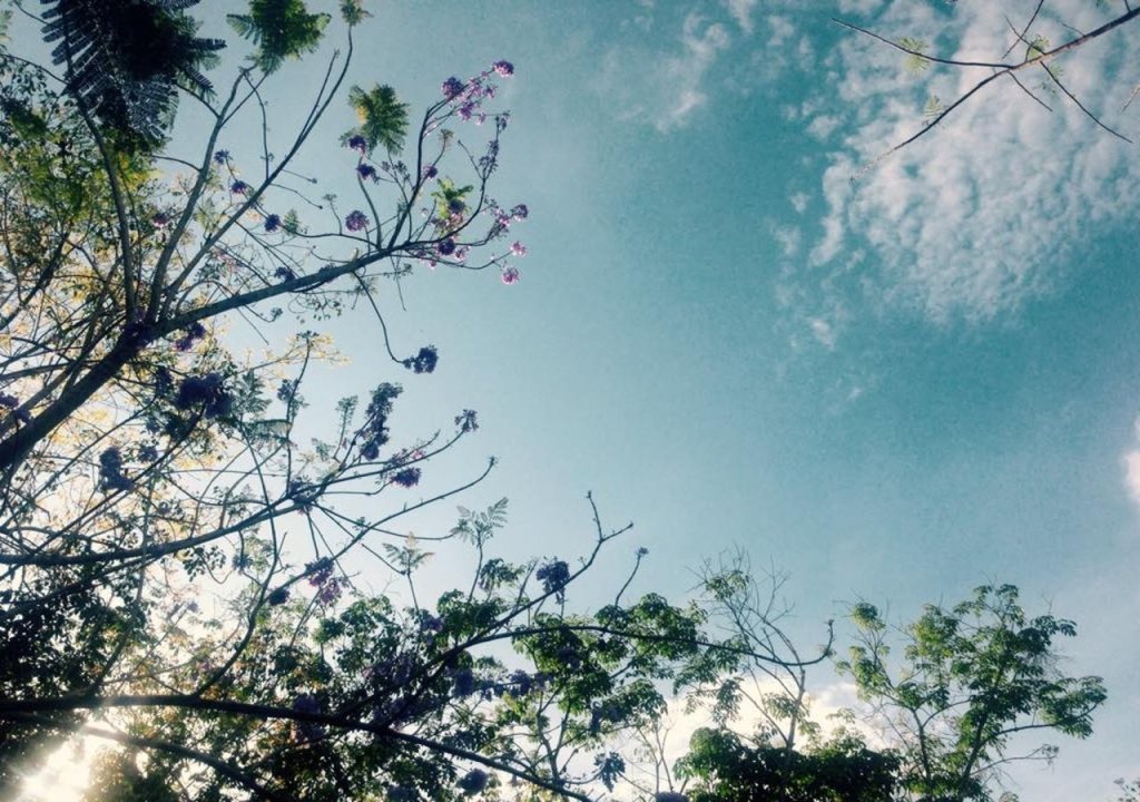 пляж Фаранг: Koh Mook Had Farang Bungalow