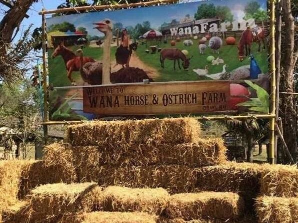 Wana Horse And Ostrich Farm Tent — фото 3