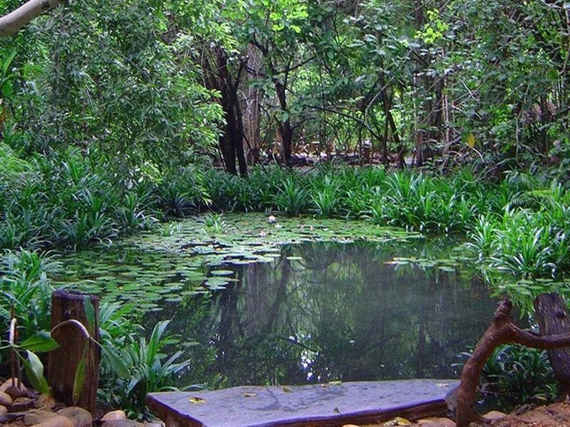 Сай Йок: Mom Chailai Forest Retreat