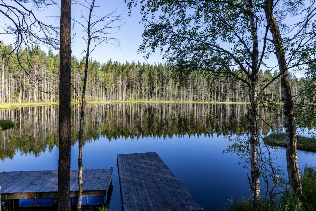 База отдыха Forest Lake — фото 5