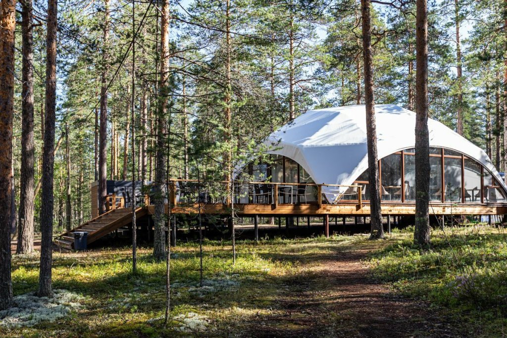 Рощино: База отдыха Forest Lake
