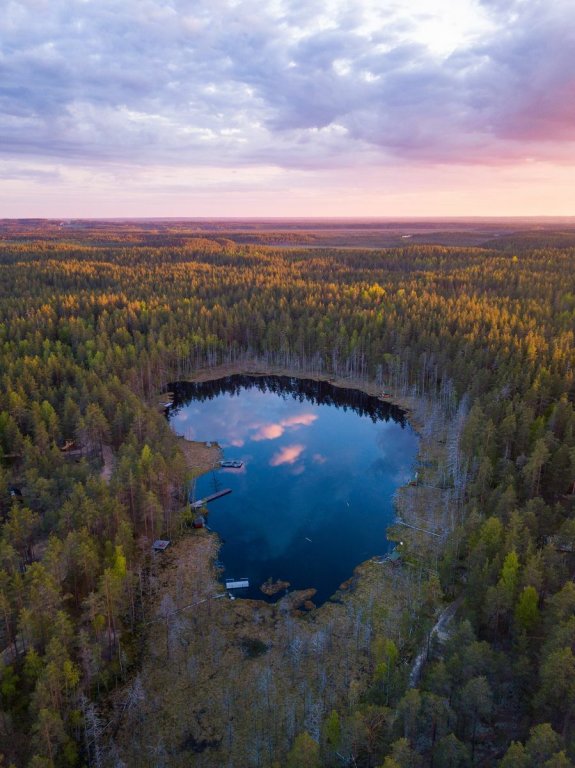 Рощино: База отдыха Forest Lake