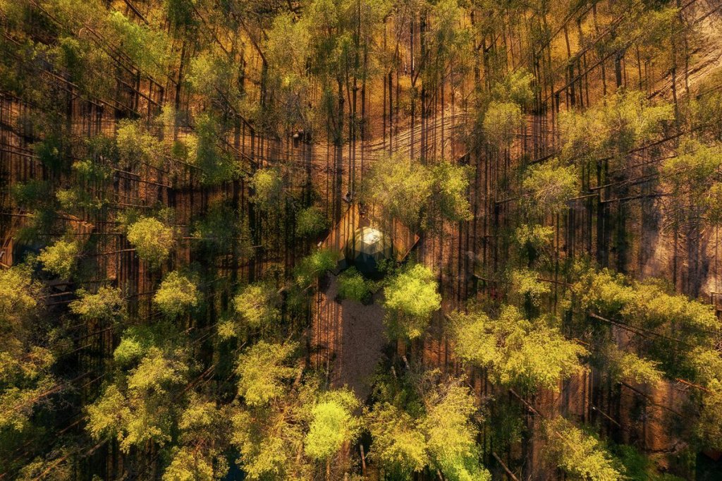 Рощино: База отдыха Forest Lake