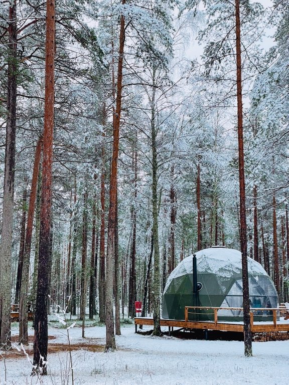 Рощино: База отдыха Forest Lake