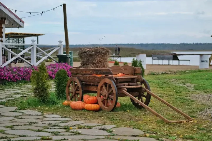Нижние Котицы: Гостевой дом Дикий Гусь
