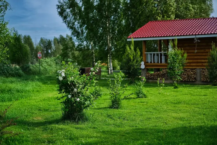 Нижние Котицы: Гостевой дом Дикий Гусь