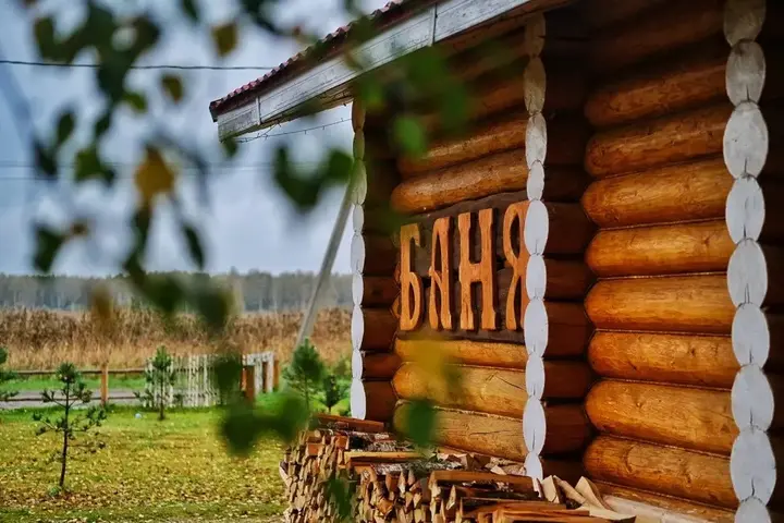 Нижние Котицы: Гостевой дом Дикий Гусь