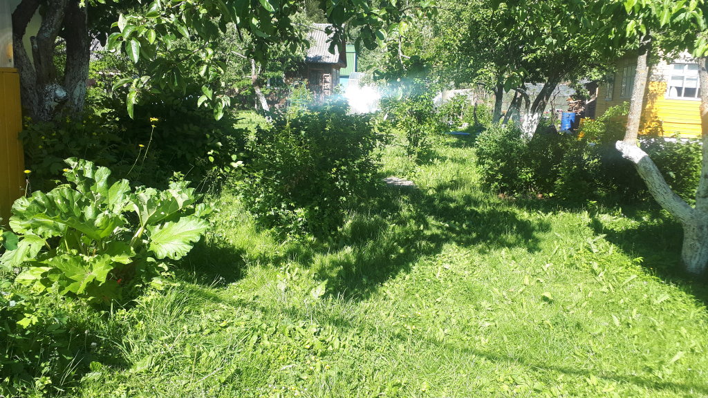 Вышний Волочёк: Дачный дом
