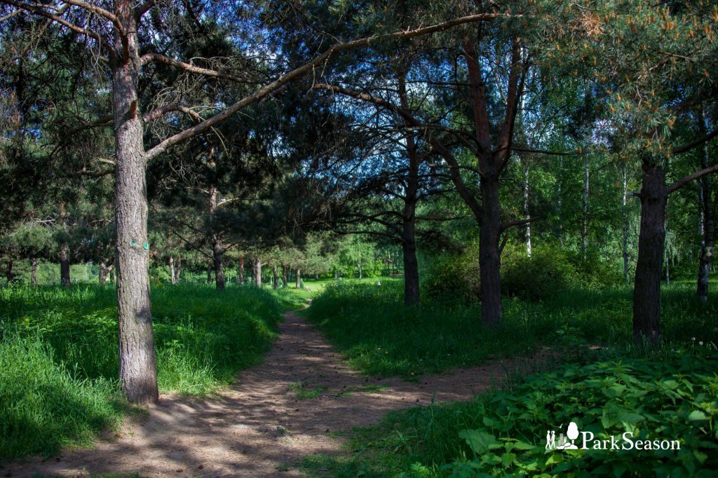 Апартаменты рядом Крокус-Экспо Открытие-арена Москва-река парк водный спорт — фото 6