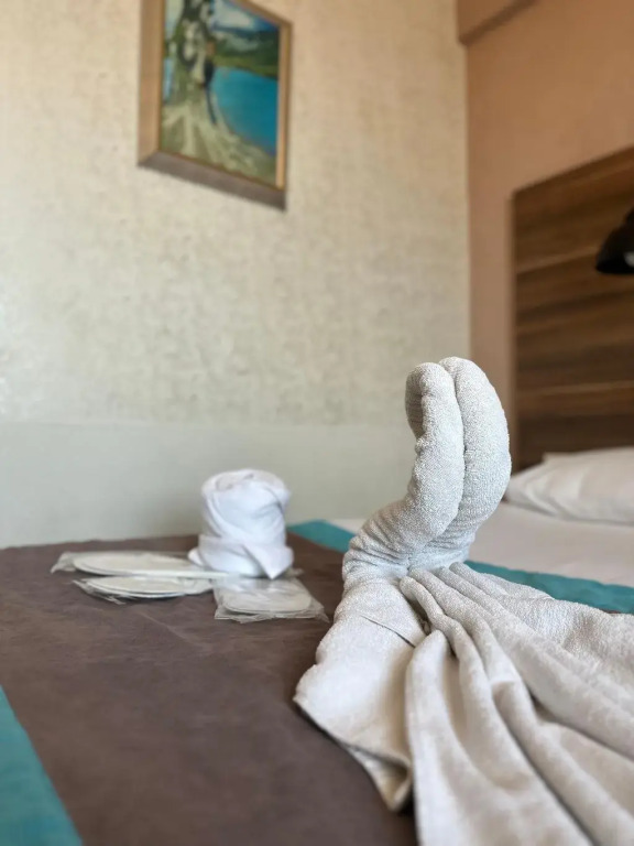 Стамбул: Divas Silver Hotel