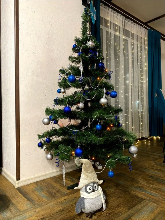 Шерегеш: Гостевой дом Дом Викингов