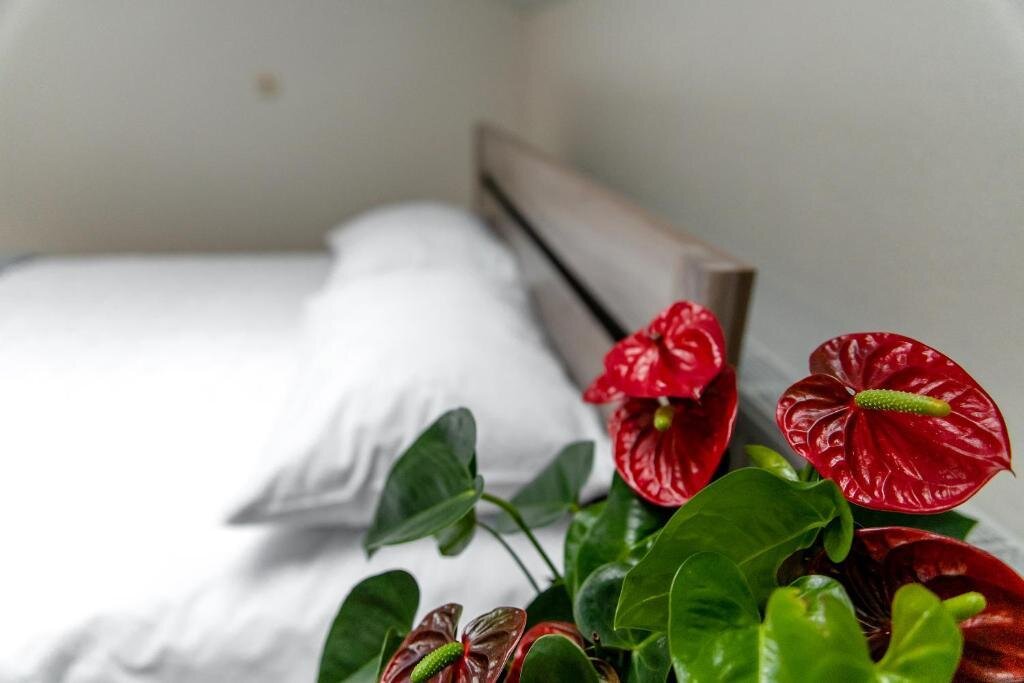 Островец: Park Hotel (Парк Отель)