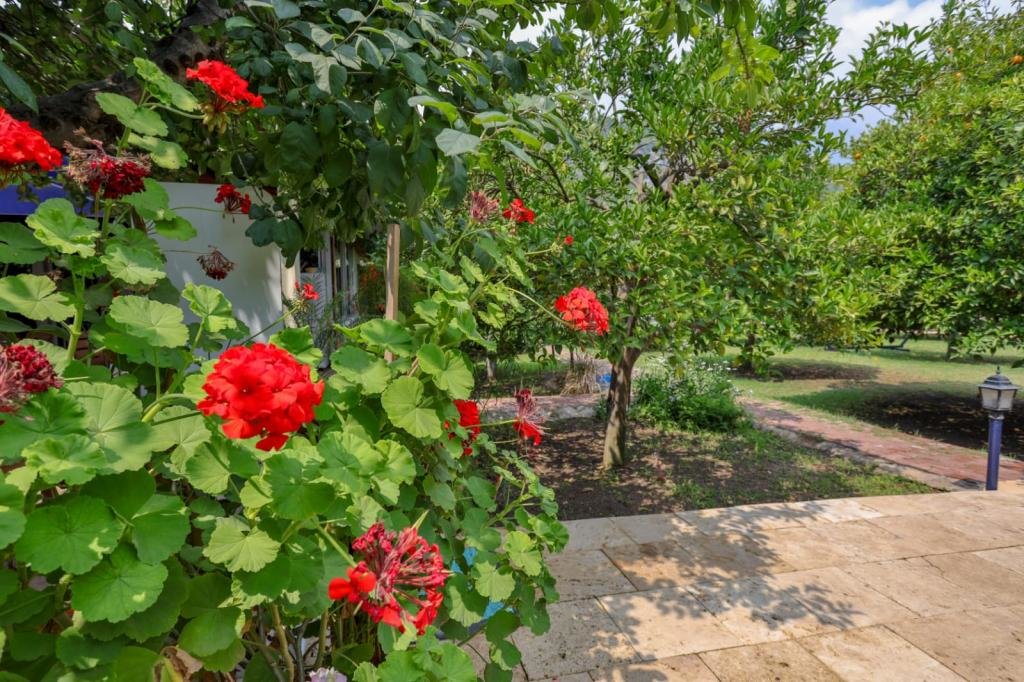 Кумлуджа: Three Islands Bungalow