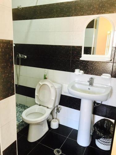 Шепси: Guest house Inessa