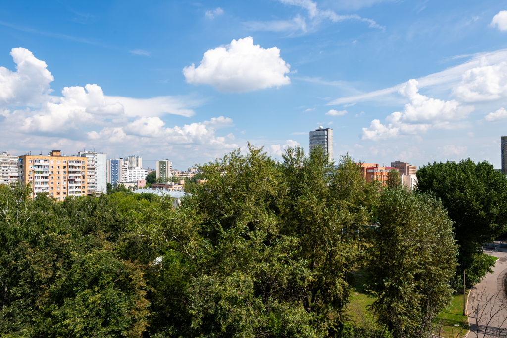 Москва: Квартира Вольная 4