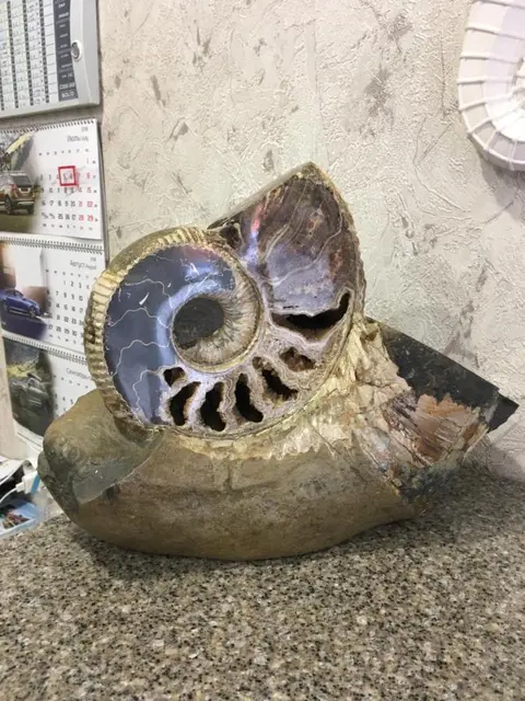 Новомихайловский: Hotel "Nautilus"