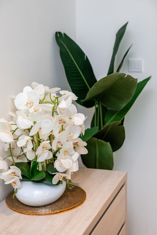 Дубай: Апартаменты Perfect Studio in Seven Palm