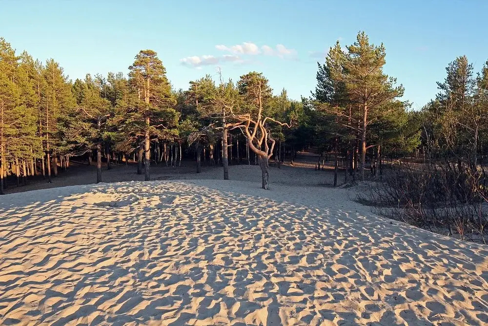 Северодвинск: Апартаменты У моря