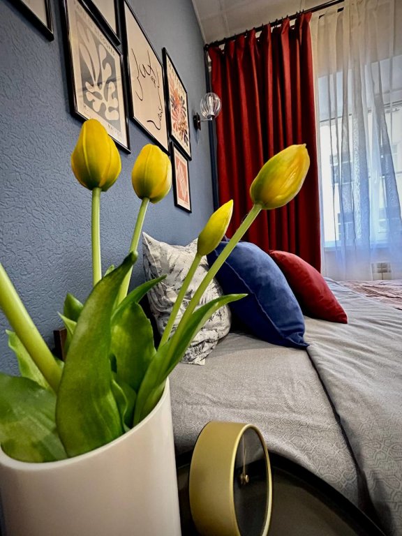 Санкт-Петербург: Меблированные комнаты  Openhome guest house room #5