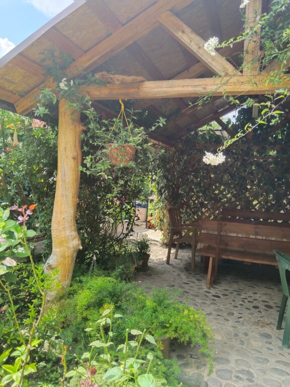 Гагра: Гостевой дом Демерджипа улица, 84