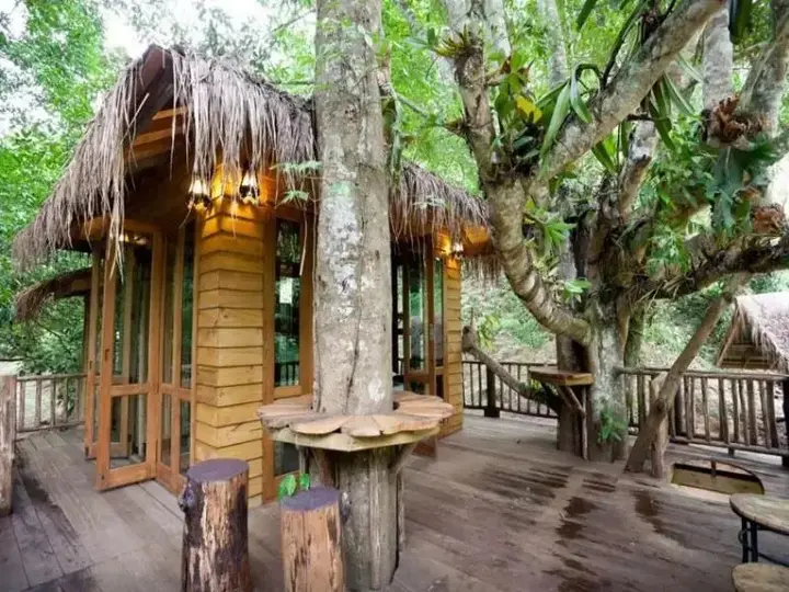 Мае-Таенг: Dreamcaught Tree House