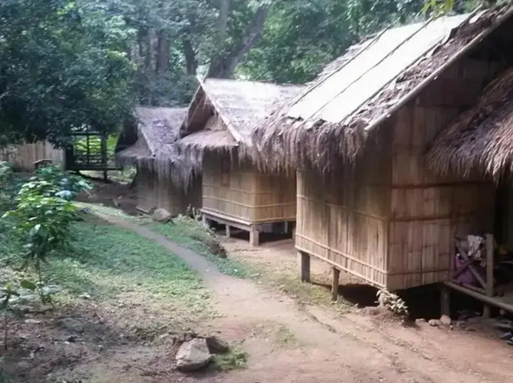 Dreamcaught Tree House — фото 4