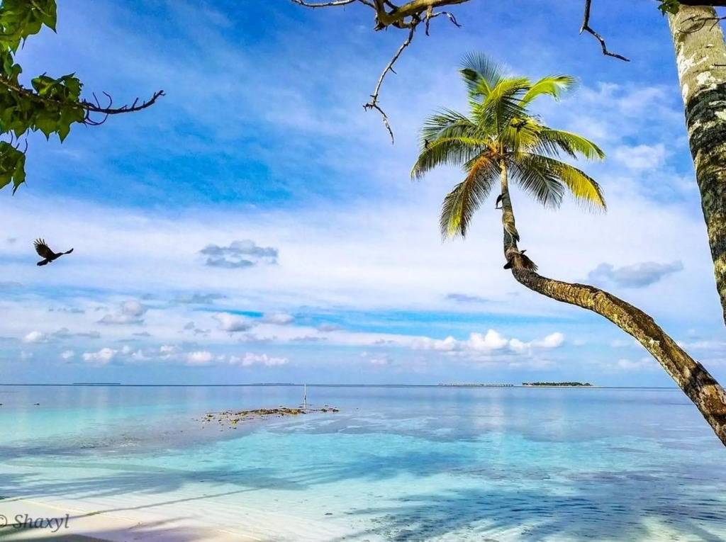 Атолл Дхаалу: Villa Stella, Rinbudhoo