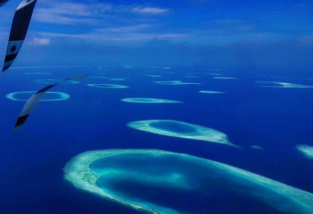 Атолл Дхаалу: Villa Stella, Rinbudhoo